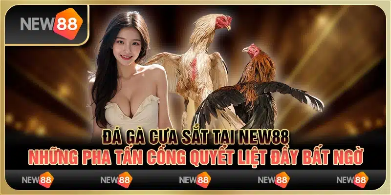 Đá gà cựa sắt tại New88: Những pha tấn công quyết liệt đầy bất ngờ