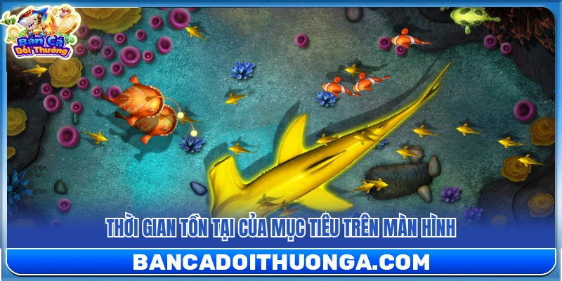 Thời lượng cá xuất hiện trong khung hình