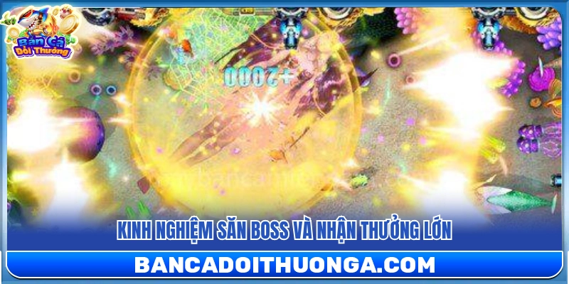 Mẹo săn boss để nhận phần thưởng lớn